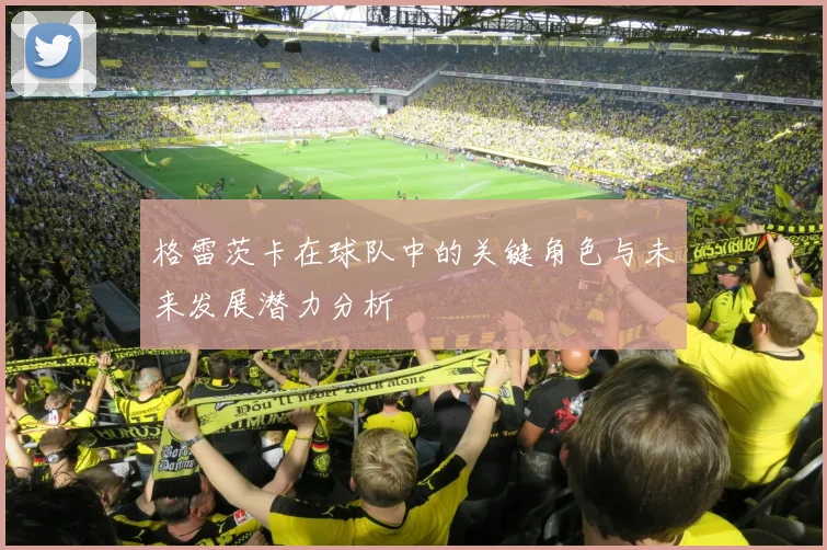 格雷茨卡在球队中的关键角色与未来发展潜力分析