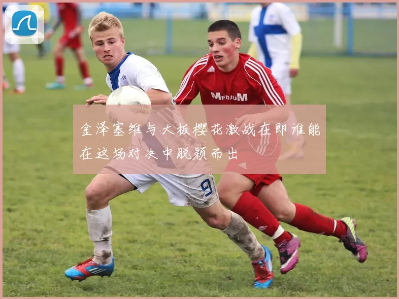 金泽塞维与大板樱花激战在即谁能在这场对决中脱颖而出