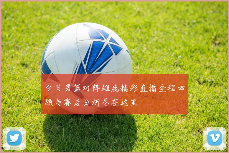 今日男篮对阵雄鹿精彩直播全程回顾与赛后分析尽在这里