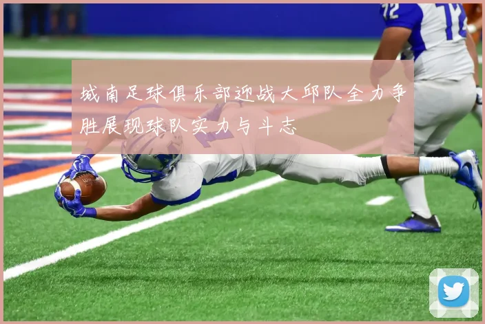 城南足球俱乐部迎战大邱队全力争胜展现球队实力与斗志