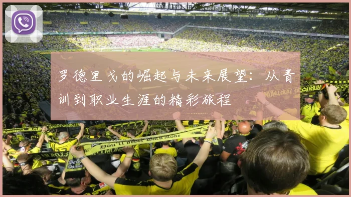 罗德里戈的崛起与未来展望：从青训到职业生涯的精彩旅程
