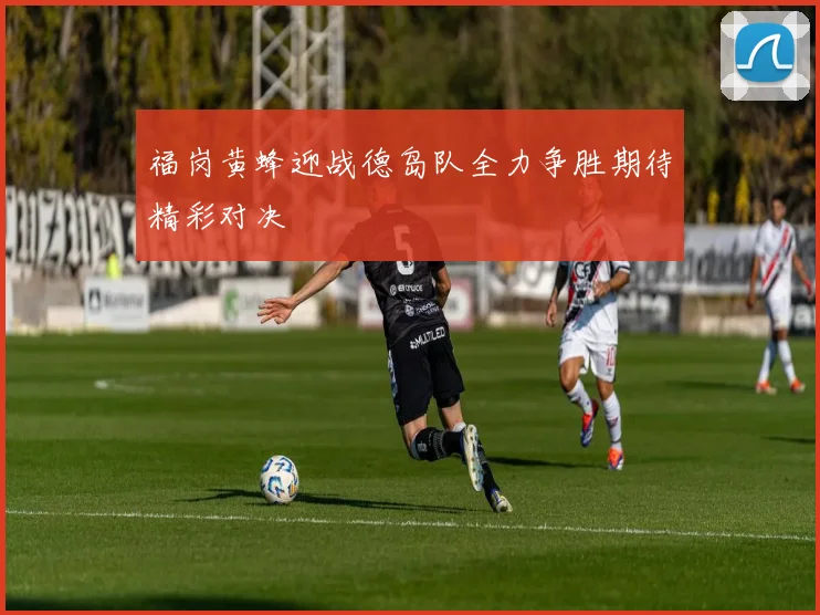 福岗黄蜂迎战德岛队全力争胜期待精彩对决