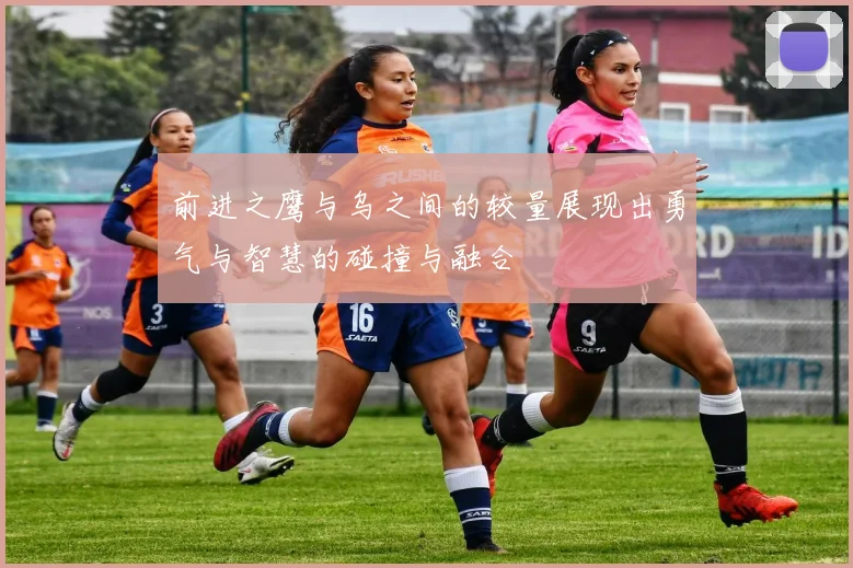 前进之鹰与乌之间的较量展现出勇气与智慧的碰撞与融合